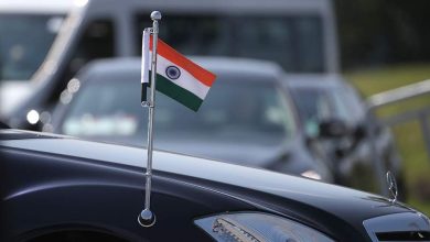 Фото - Посол рассказал о готовности Индии увеличить поставки нужных России товаров