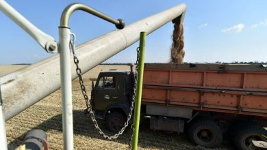 Фото - Путин спрогнозировал урожай зерновых размером более 140 млн т