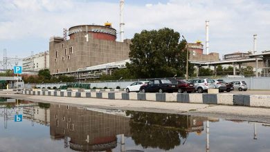 Фото - Путин поручил принять в федеральную собственность объекты Запорожской АЭС