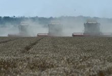 Фото - Мишустин заявил о рекорде по сбору зерна в России
